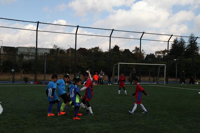 杨瀚森17+11青岛胜上海 吴前20分浙江胜吉林